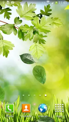 Spring Live Wallpaper Lite android App screenshot 7